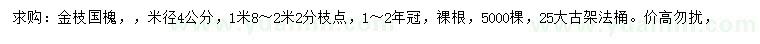 求购米径4公分金枝国槐、25公分法桐