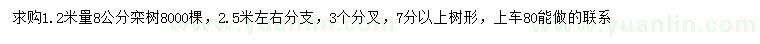 求购1.2米量8公分栾树