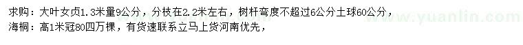 求购1.3米量9公分大叶女贞、高1米海桐