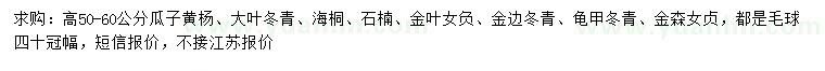 求购瓜子黄杨、大叶冬青、海桐等