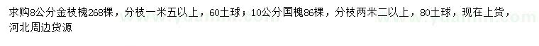 求购8公分金枝槐、10公分国槐