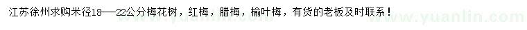 求购梅花树、红梅、腊梅等