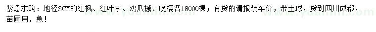 求购红枫、红叶李、鸡爪槭等