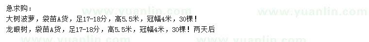 求购17-18公分大树波萝、龙眼树