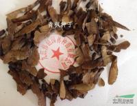 江西青枫种子