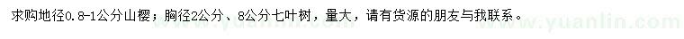 求购地径0.8-1公分山樱、胸径2、8公分七叶树