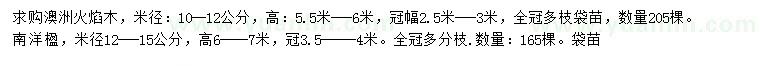 求购米径10-12公分澳洲火焰木、12-15公分南洋楹