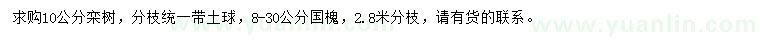 求购10公分栾树、8-30公分国槐