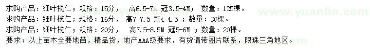 求购15、16、20公分细叶榄仁