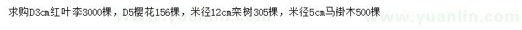 求购红叶李、樱花、栾树等