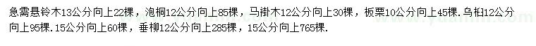 求购悬铃木、泡桐、马褂木等