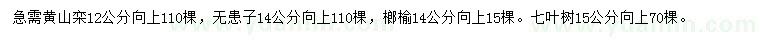 求购黄山栾、无患子、榔榆等