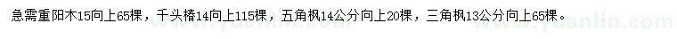 求购重阳木、千头椿、五角枫