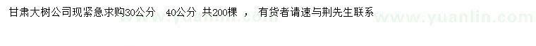 求购30、40公分榉树