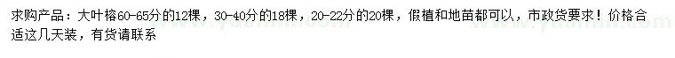 求购20-22、30-40、60-65公分大叶榕