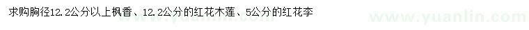 求购枫香、红花木莲、红花李