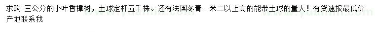 求购3公分小叶香樟、高1.2米以上法国冬青