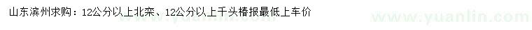 求购12公分以上北栾、千头椿