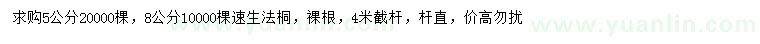 求购5、8公分速生法桐