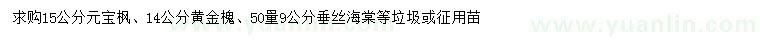 求购15公分元宝枫、14公分黄金槐