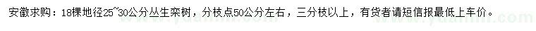 求购地径25-30公分栾树