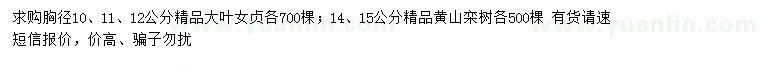 求购胸径10、11、12公分大叶女贞、14、15公分黄山栾树