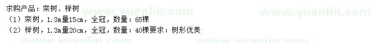 求购1.3米量15公分栾树、20公分榉树