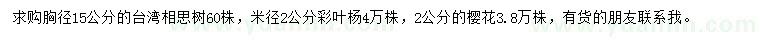 求购台湾相思树、彩叶杨、樱花