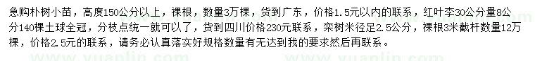 求购朴树小苗、红叶李、栾树