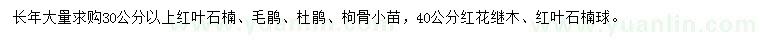 求购红叶石楠、毛鹃、杜鹃等