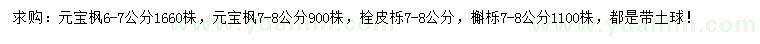 求购元宝枫、栓皮栎、槲栎