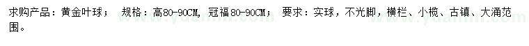 求购高80-90公分黄金叶球