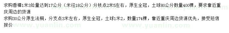 求购1米3处量达到17公分香樟、30公分原生法桐