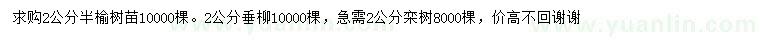 求购榆树、垂柳、栾树