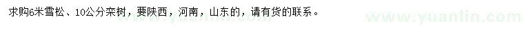 求购6米雪松、10公分栾树