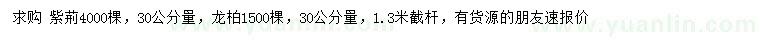 求购30公分量4公分紫荆、5公分龙柏