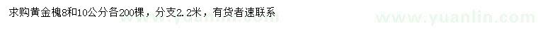 求购8、10公分黄金槐