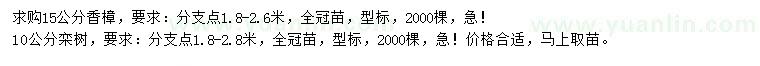 求购15公分香樟、10公分栾树