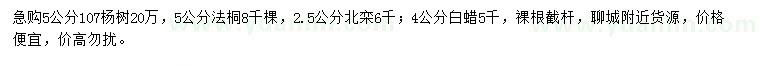 求购107杨树、法桐、北栾等