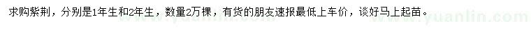 求购1年生、2年生紫荆