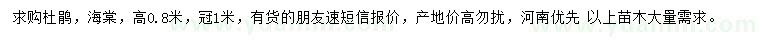 求购高0.8米杜鹃、海棠