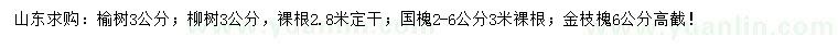 求购榆树、柳树、国槐等