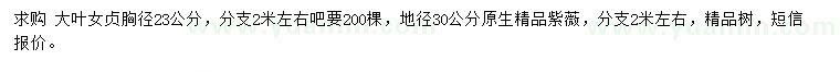 求购胸径23公分大叶女贞、地径30公分紫薇