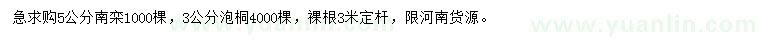 求购5公分南栾、3公分泡桐