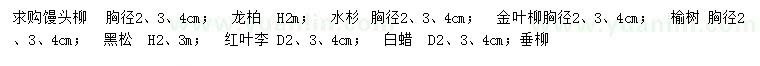 求购馒头柳、龙柏、水杉等