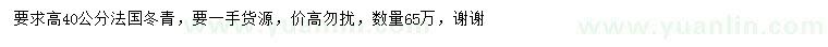 求购高40公分法国冬青