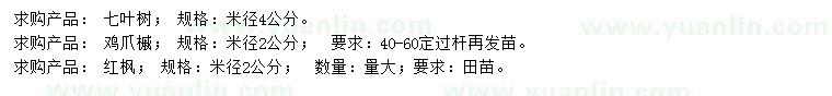 求购七叶树、鸡爪槭、红枫