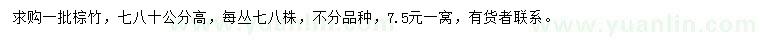 求购高70、80公分棕竹