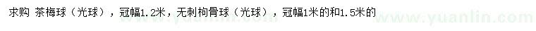 求购冠幅1.2米茶梅球、1、1.5米无刺枸骨球