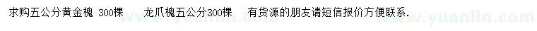 求购五公分黄金槐、龙爪槐